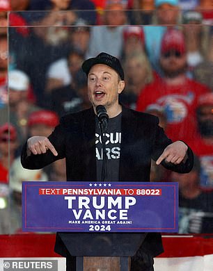 Tesla CEO Elon Musk became an integral part of Trump's campaign, giving speeches and donating millions.