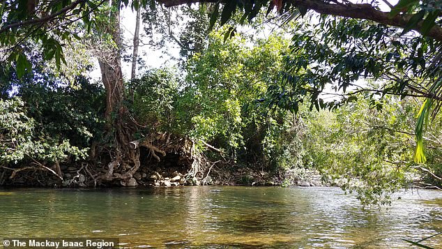 A local Aboriginal business closed access to Cameron's Pocket (pictured) in Eungella National Park, near Mackay, because visitors had been vandalizing the area.