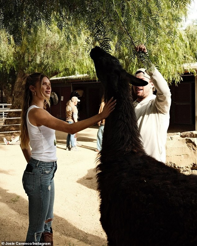 She and Johnny were seen interacting with an alpaca. The couple went public with their relationship in April.