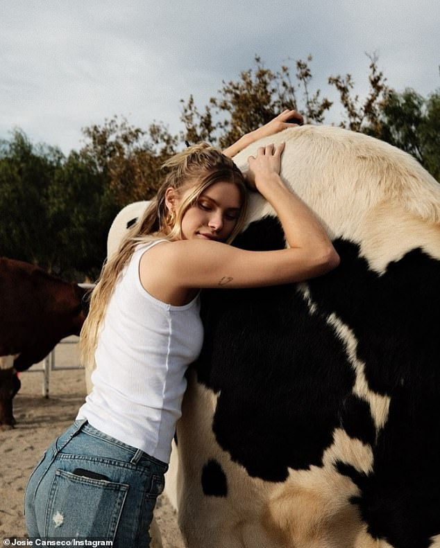 He enjoyed spending quality time with different animals at the sanctuary.