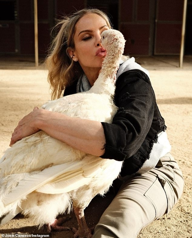 His mother was also photographed humorously giving a turkey an air kiss.