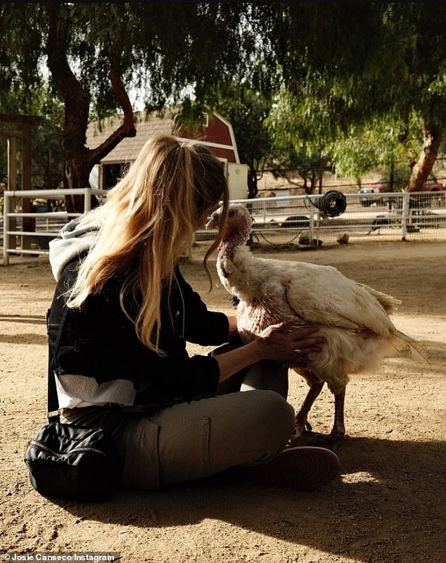 His mother seemed to have a lot of fun at the animal sanctuary.