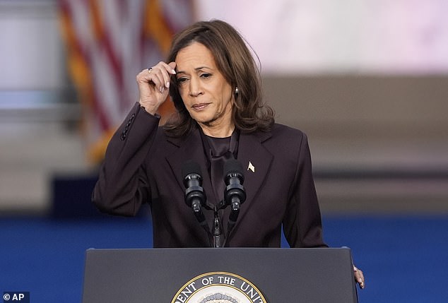 Vice President Kamala Harris was defeated by Trump in Tuesday's presidential election