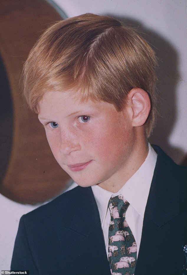 Harry, aged ten, with his hair parted on the side in 1995.