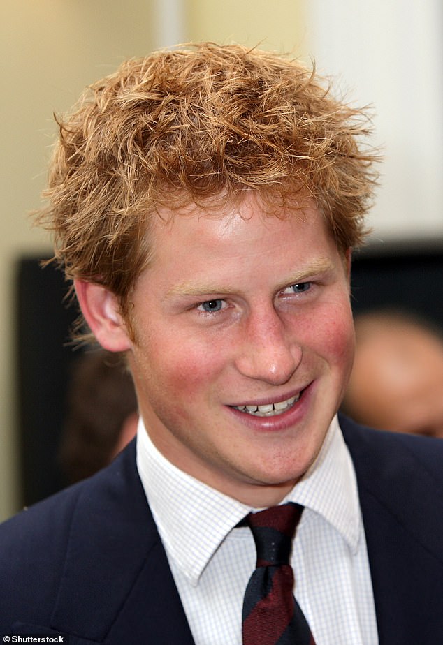 Harry, with disheveled hair, attending a MapAction charity reception in London in 2007.