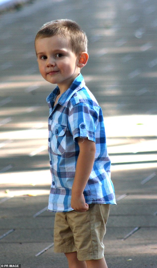 William Tyrrell (pictured) disappeared from his adoptive grandmother's home on the New South Wales north coast on September 12, 2014.