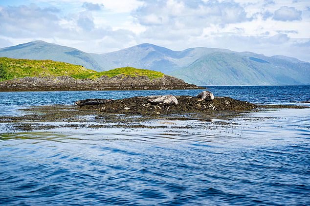 The island is regularly visited by seals, otters and porpoises.