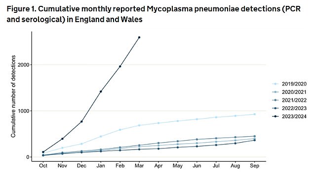 The latest UKHSA data shows there were 2,592 confirmed cases of mycoplasma pneumonia in England and Wales between October 2023 and March 2024, seven times the level seen (364) in 2022/23.