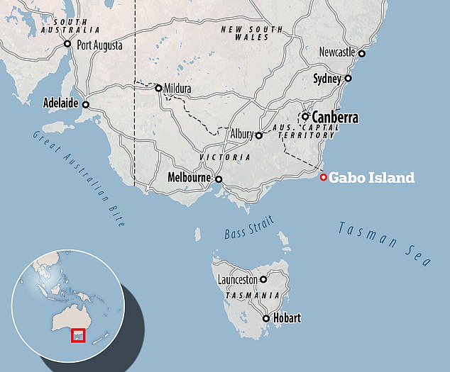 A map showing where Gabo Island is located compared to mainland Australia