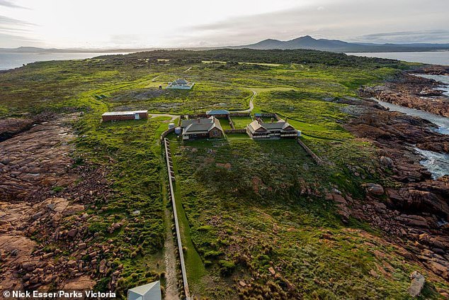 Duthie spends six months a year on Gabo Island, one month off and one month off, accompanied only by a colony of penguins.