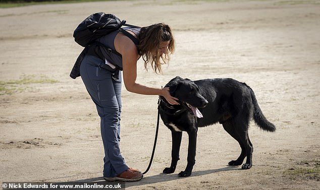 One of the dogs rescued during the major operation in Valencia after the catastrophic floods