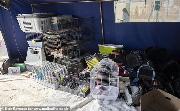 Bird cages and other pet equipment are stored in tents on site.