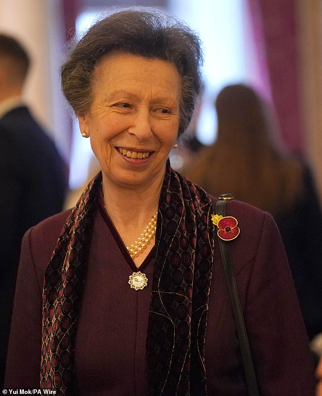 Princess Anne (pictured) attended the reception at Buckingham Palace in place of Queen Camilla, who is ill.