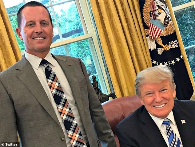 Trump has praised Grenell's tenacity and 'guts' after he ended his tenure as US ambassador to Germany.