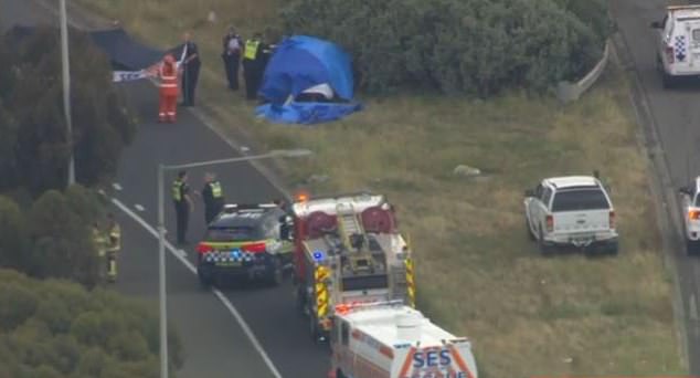 Mrs Cutajar was the only person in the vehicle when the metal object hit her car (pictured by emergency services at the scene on Thursday).