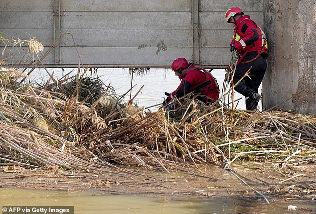 Valencia firefighters search for victims at a lock in L'Albufera, near Valencia, eastern Spain, on November 7, 2024.