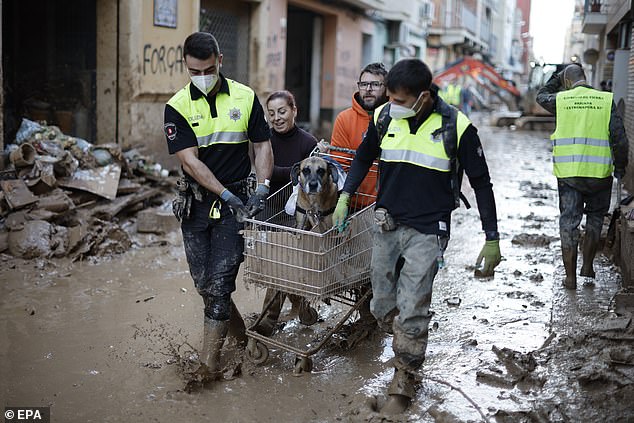 Members of the Bilbao city police department help a woman carry a dog through a muddy street in the flood-affected city of Paiporta, Valencia, Spain, on November 7, 2024.