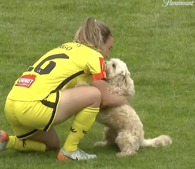 A loud cheer was heard among the fans as Longo hugged the dog before picking up Tiger and escorting his dog off the field.