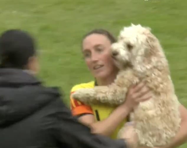 He handed the puppy to a staff member on the sideline, who took it away.