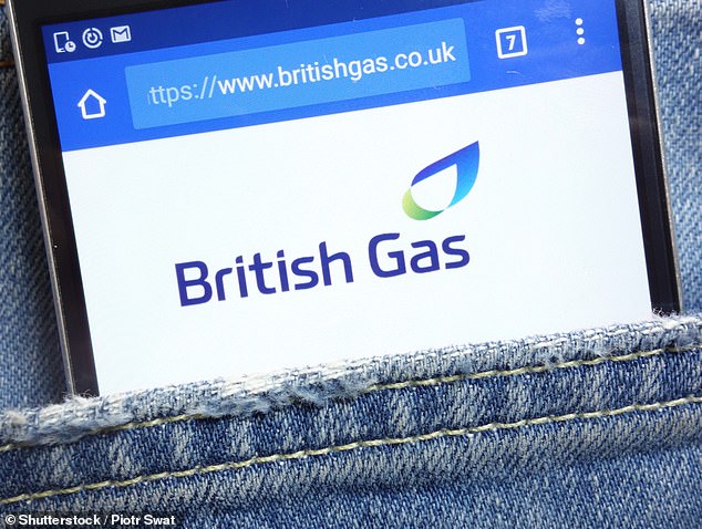 Out-of-pocket costs: British Gas admitted incorrect figures spotted by meter reader were the cause of the whole problem