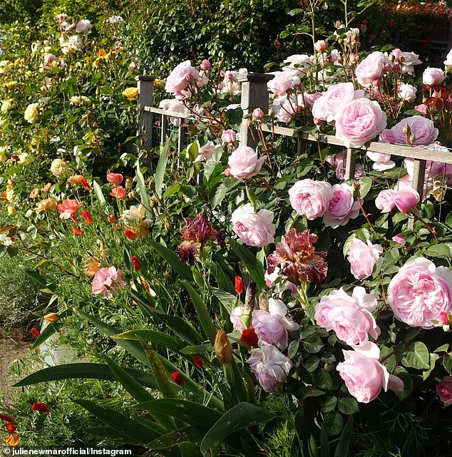 Walls of roses rise from the ground around her residence, creating beautiful arches that you can walk through.