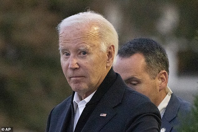 When Joe Biden announced that he would not seek reelection on July 21 after enormous public and private pressure from Democrats.