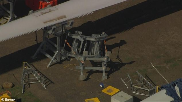 There is also a crumpled ladder (pictured) on the ground next to a large leaf.