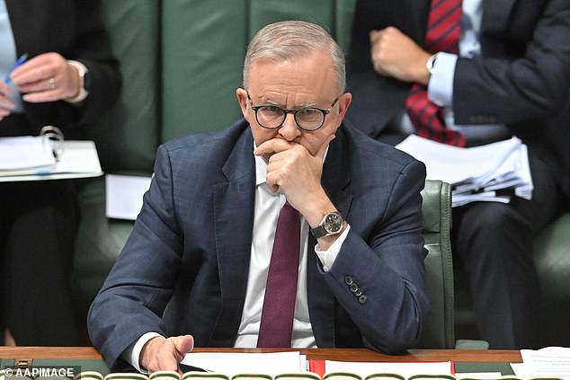 Australian taxpayers will be the biggest losers if Labor is forced to introduce this policy after next year's election as the price of a power-sharing deal with the Greens. (Pictured: Prime Minister Anthony Albanese)