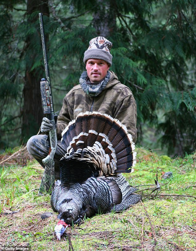 Pictured: A hunter shows off the wild turkey he successfully shot down.