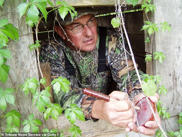 A hunter disguises himself with a wooden structure and uses a friction call to attract turkeys