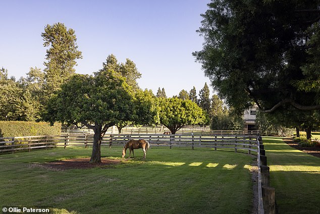 The property has a large portion dedicated to equestrian facilities including two 35-horse stables and a 2-acre competition-sized equestrian field.