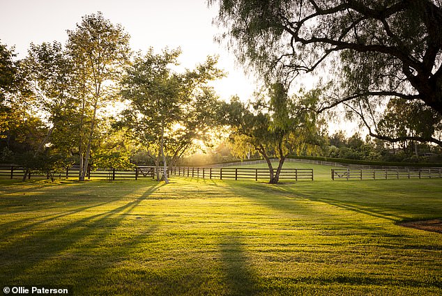 A view from the back porch shows manicured green pastures, a garden and a cowboy cabin that sleeps 12, as well as the manager's quarters.