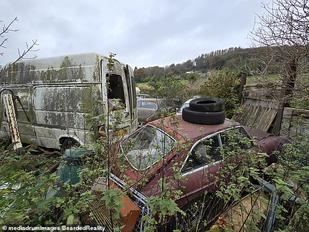 However, many of the older cars have seen better days, many of them hidden behind plants or collecting dust as they rot in storage.