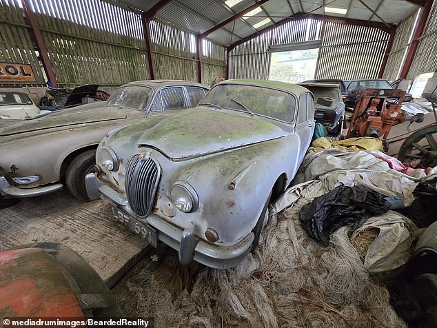 Among the rusted vehicles were several Mercedes, MG, MG Midgets, Land Rover Discoveries and Volkswagens.