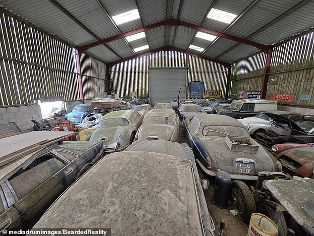 Several cars estimated to be worth thousands stood lined up rusting in unison, hidden from public view.