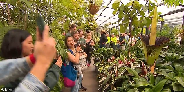 The greenhouse where the flower grew will be open 24 hours a day to allow as many visitors as possible to experience this rare event.