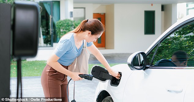 Electric vehicle owners have become more creative when it comes to charging their car, as cables on sidewalks are considered dangerous (file image)