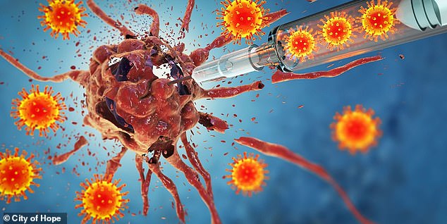 Injecting the virus directly into the tumor triggered a strong immune response that helped shrink the tumor. The immune system recognizes tumor cells infected by the virus as foreign and begins to attack them.