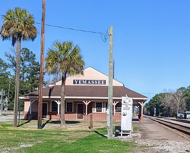 Residents of Yemassee, a city of 1,000 people less than 50 miles west of Charleston, have been told to lock their doors and windows to prevent primates from entering their homes.