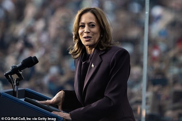 Geraldo believes Kamala Harris struggled to connect with voters, failing to distinguish her platform and reassuring a nation wary of change.