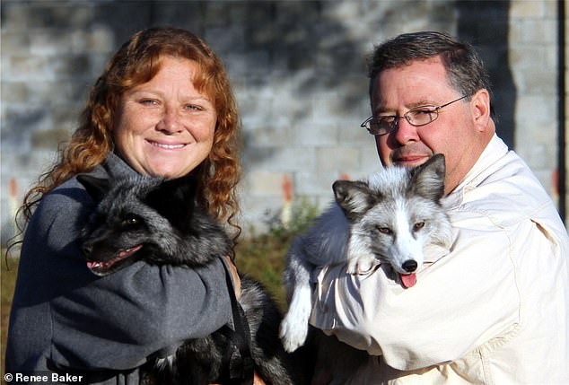 Mitchel Kalmanson (right) has faced a litany of animal abuse allegations in recent decades.