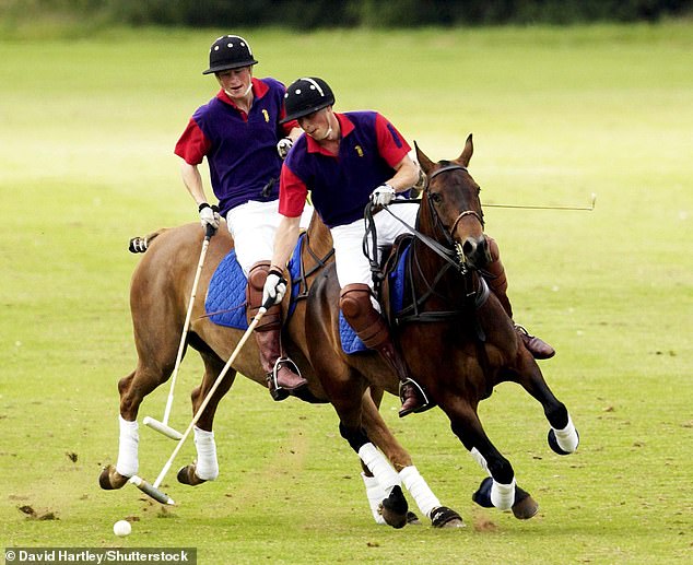 Prince William, pictured with Prince Harry, aims for the ball during a match at the Beaufort Club in the Cotswolds in 2002.