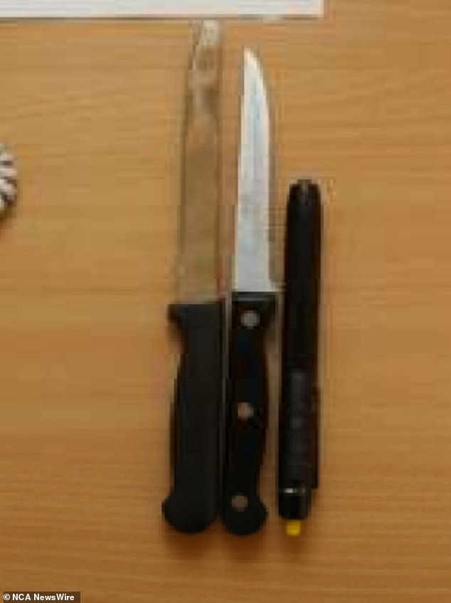 Two steak knives and a pen lamp were seized at the nursing home (pictured)