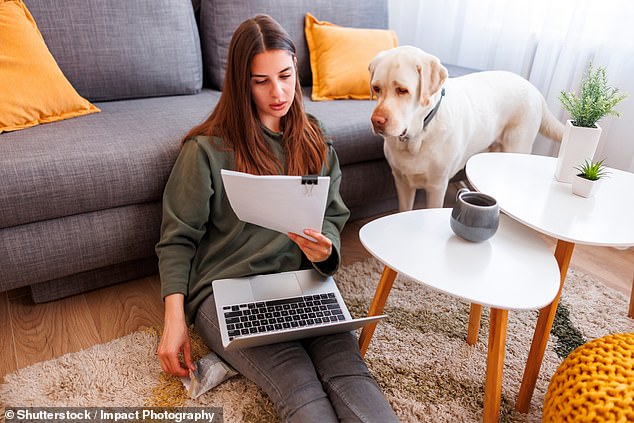 The 'companions' keep dogs mainly for company, but maintain an emotional distance (file image)