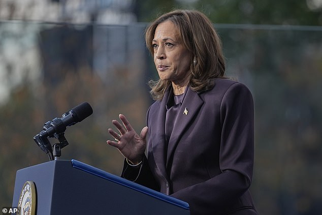 Democrat Kamala Harris lost the presidential election last week to Republican Donald Trump.