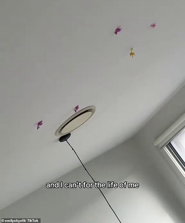 Several animal figures are attached to Emily's ceiling and although some fell, the mother said they left a stain of color and grease on the ceiling.