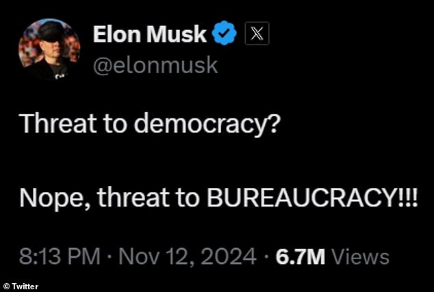 1731480514 161 Trump sparks liberal meltdown as he taps Elon Musk to