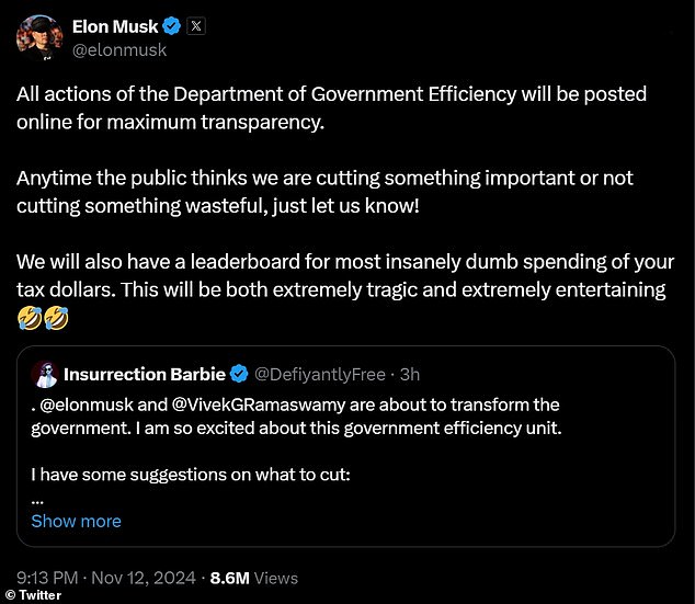 1731480522 314 Trump sparks liberal meltdown as he taps Elon Musk to