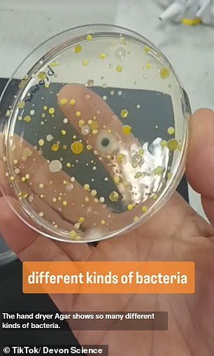 In a video that has racked up 4.7 million views (pictured) on the social network, it shows the scientist turning on the dryer over a Petri dish to discover which bacteria would grow.