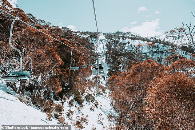 Thredbo, New South Wales, winning the gold medal for Australia's best ski resort